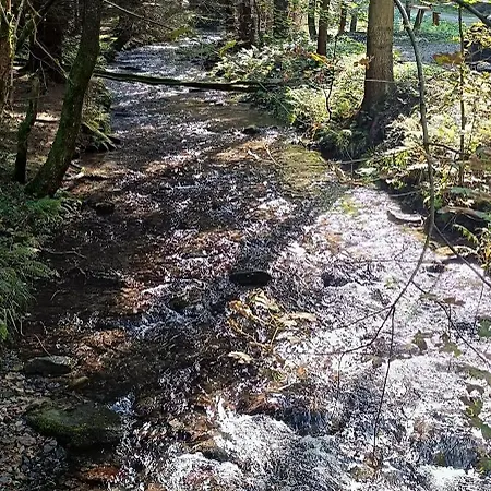 Gaesteunterkunft Bergzauber - Fruehstueck Moeglich Kwatera prywatna *