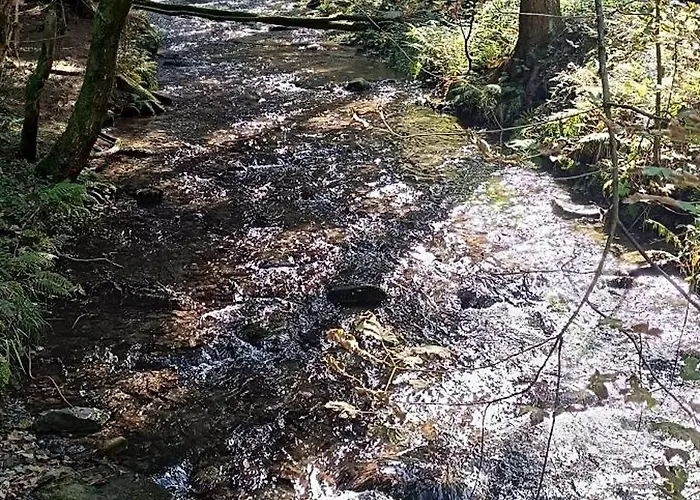 Gaesteunterkunft Bergzauber - Fruehstueck Moeglich Ubytování v soukromí *